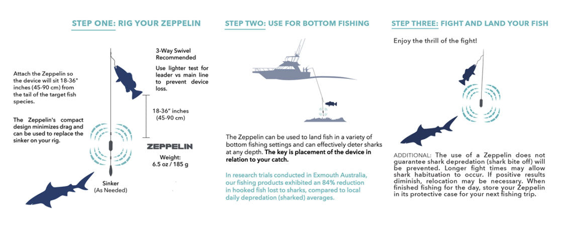 Helping solve the ongoing WA shark problem