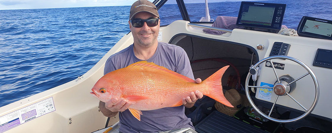 A very lost Pinjalo Snapper