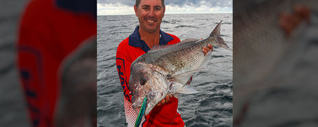 Catches of pink snapper will need to be slashed