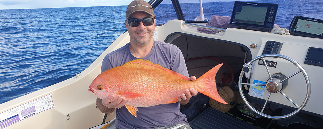 A very lost Pinjalo Snapper – Western Angler