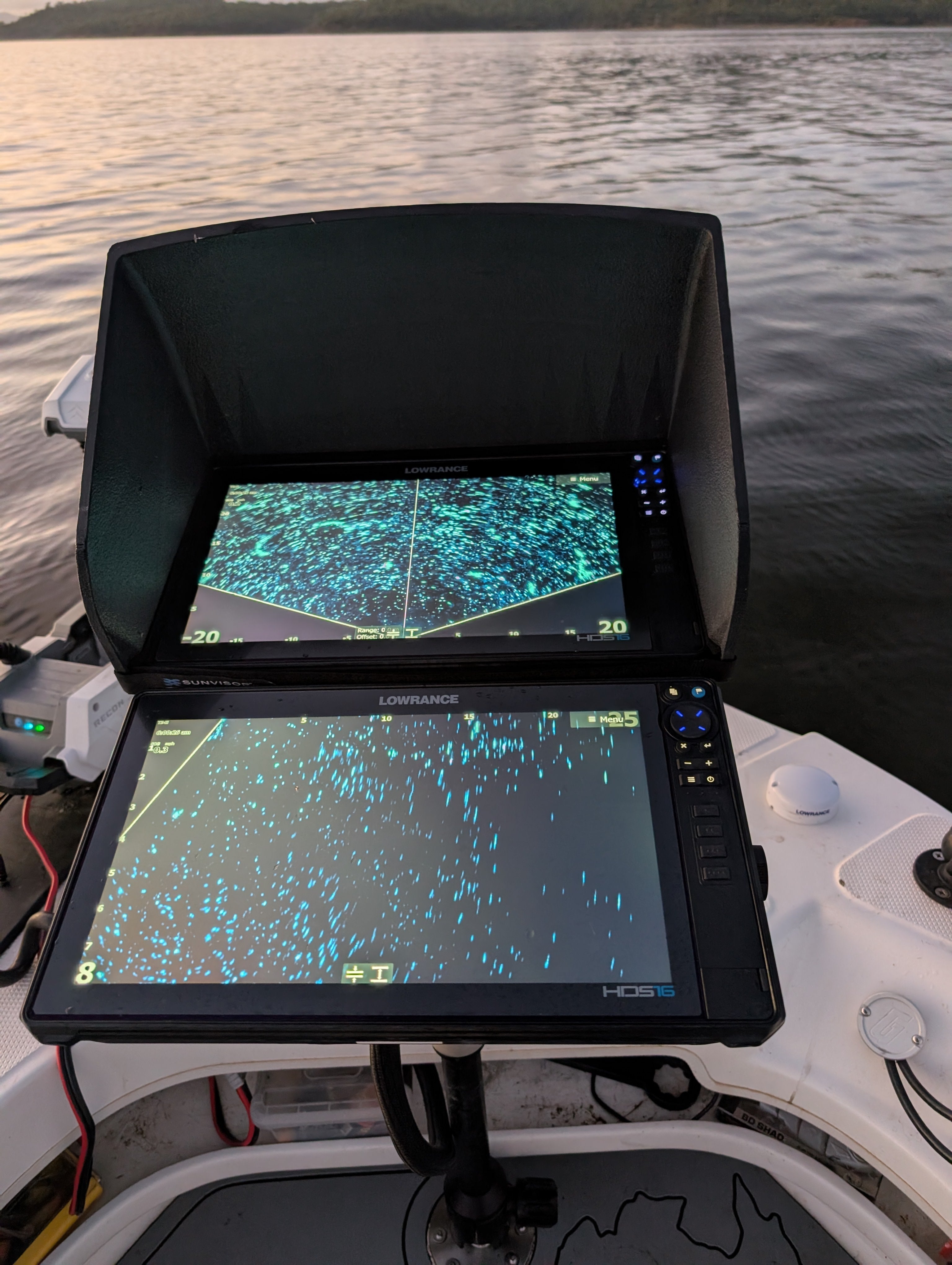 Live Sonar: A Game-Changer, Not a Guarantee