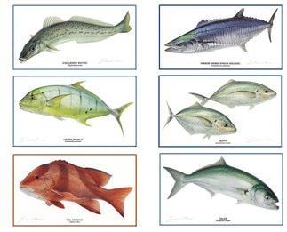 Fish Species Prints - Set of 6